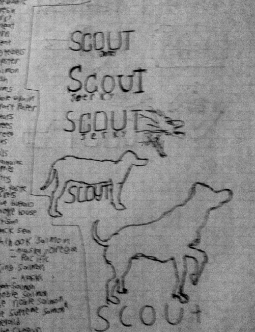Scout Logo Sketch