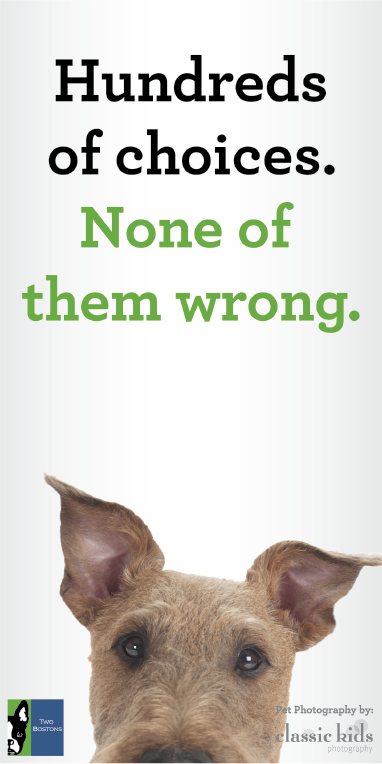 Two Bostons Poster