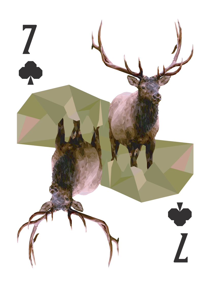 North American Animals