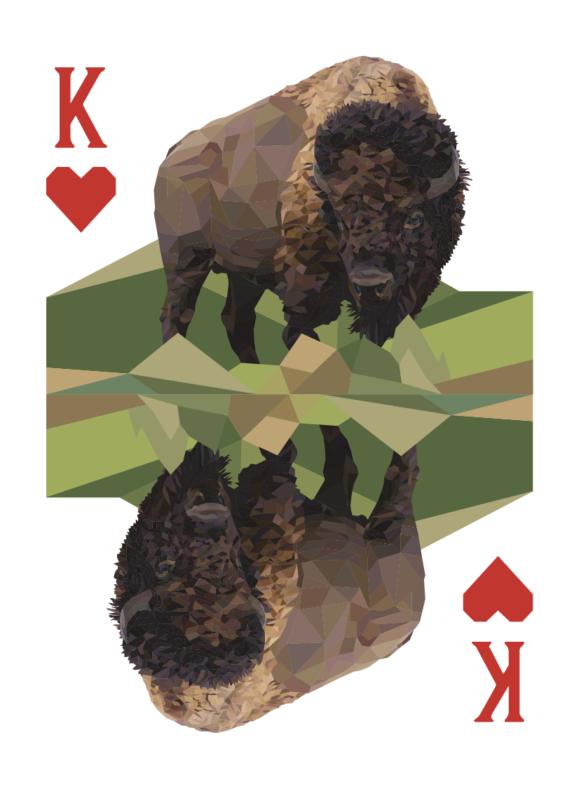 North American Animals