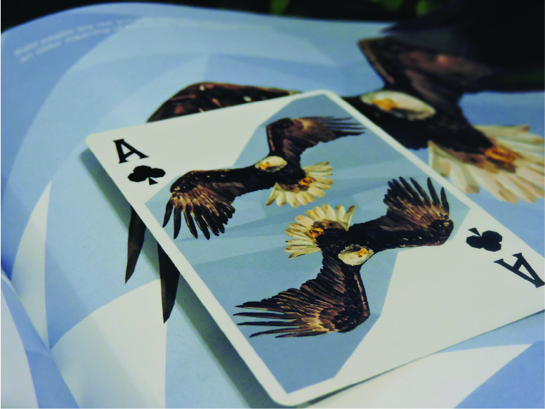 NAA Card Book