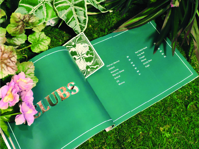 NAA Card Book