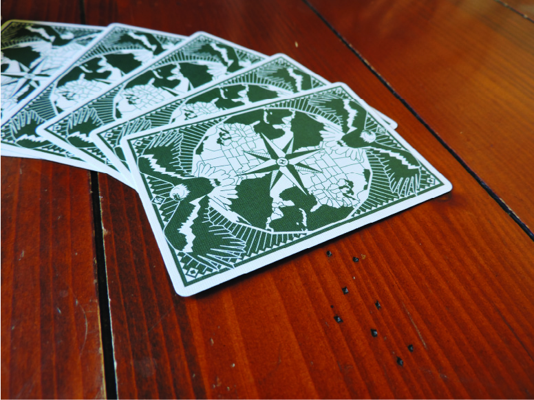 North American Animals Deck