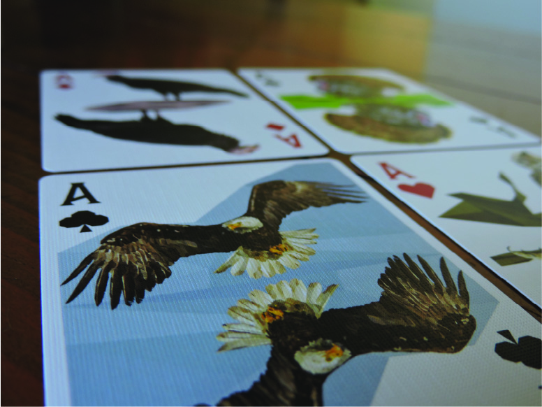 North American Animals Deck