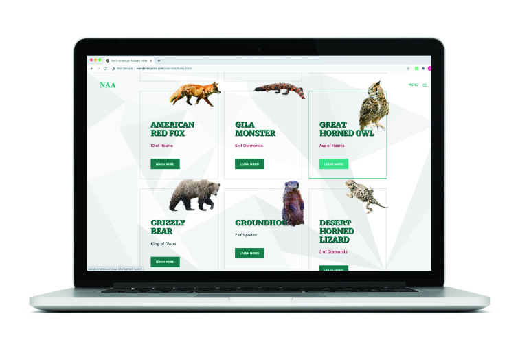 North American Animals Index