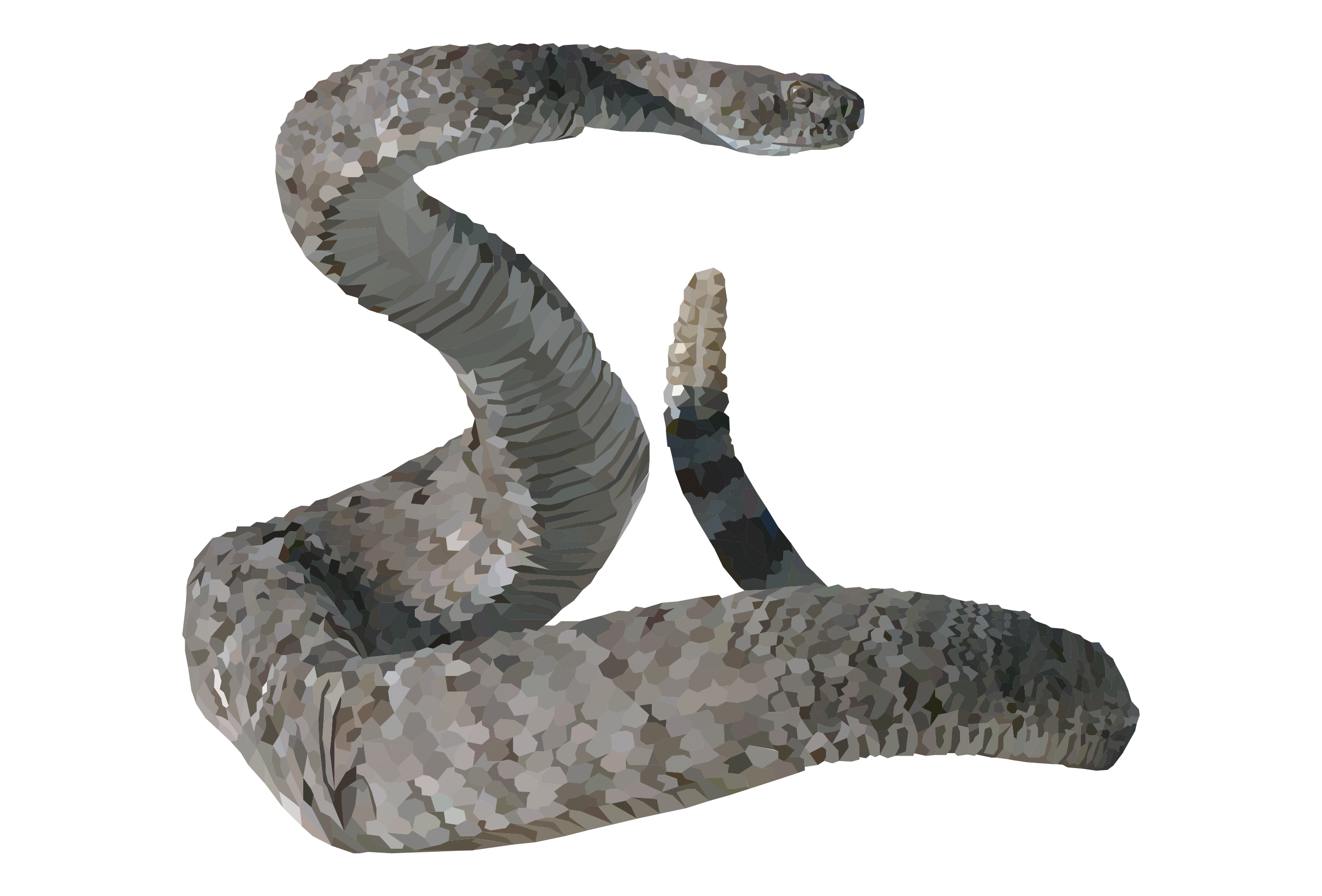 Rattlesnake
