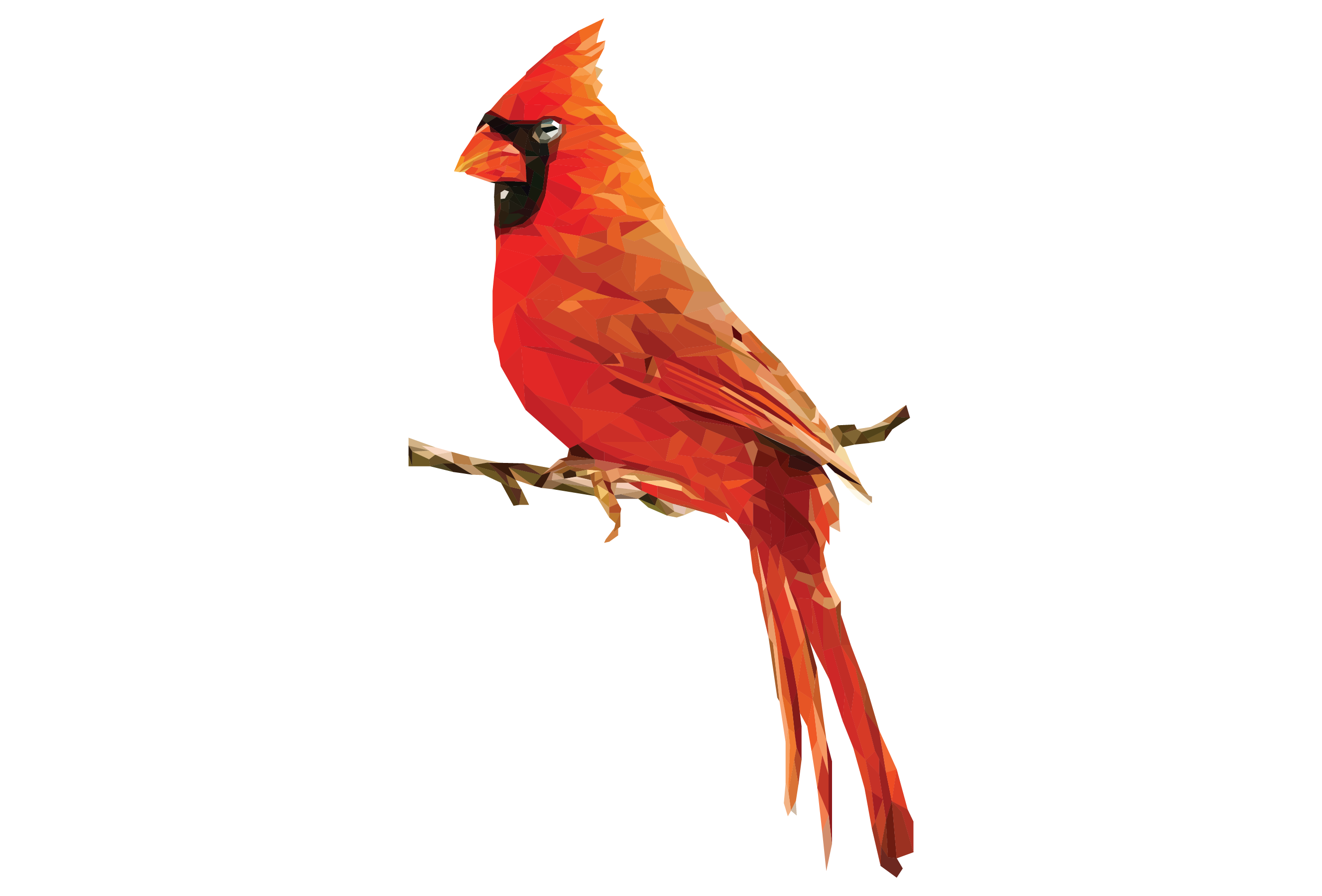 Cardinal