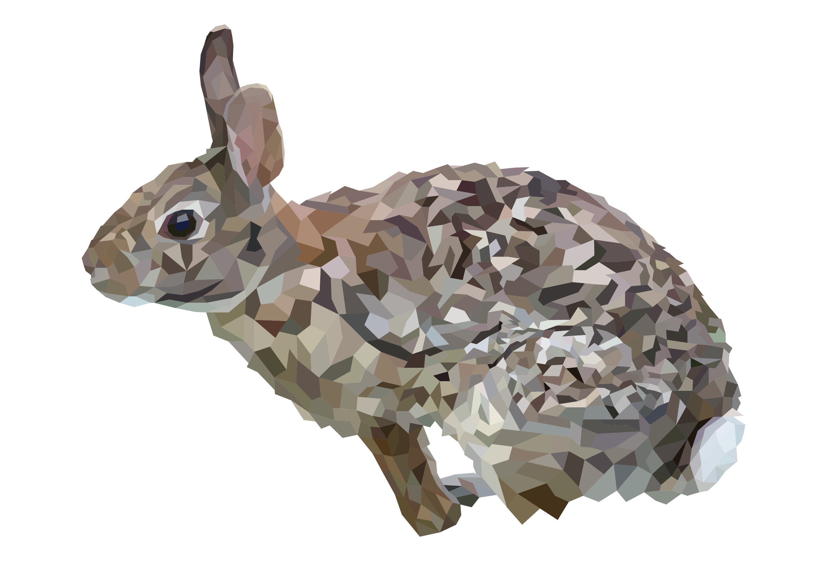 Eastern Cottontail Rabbit