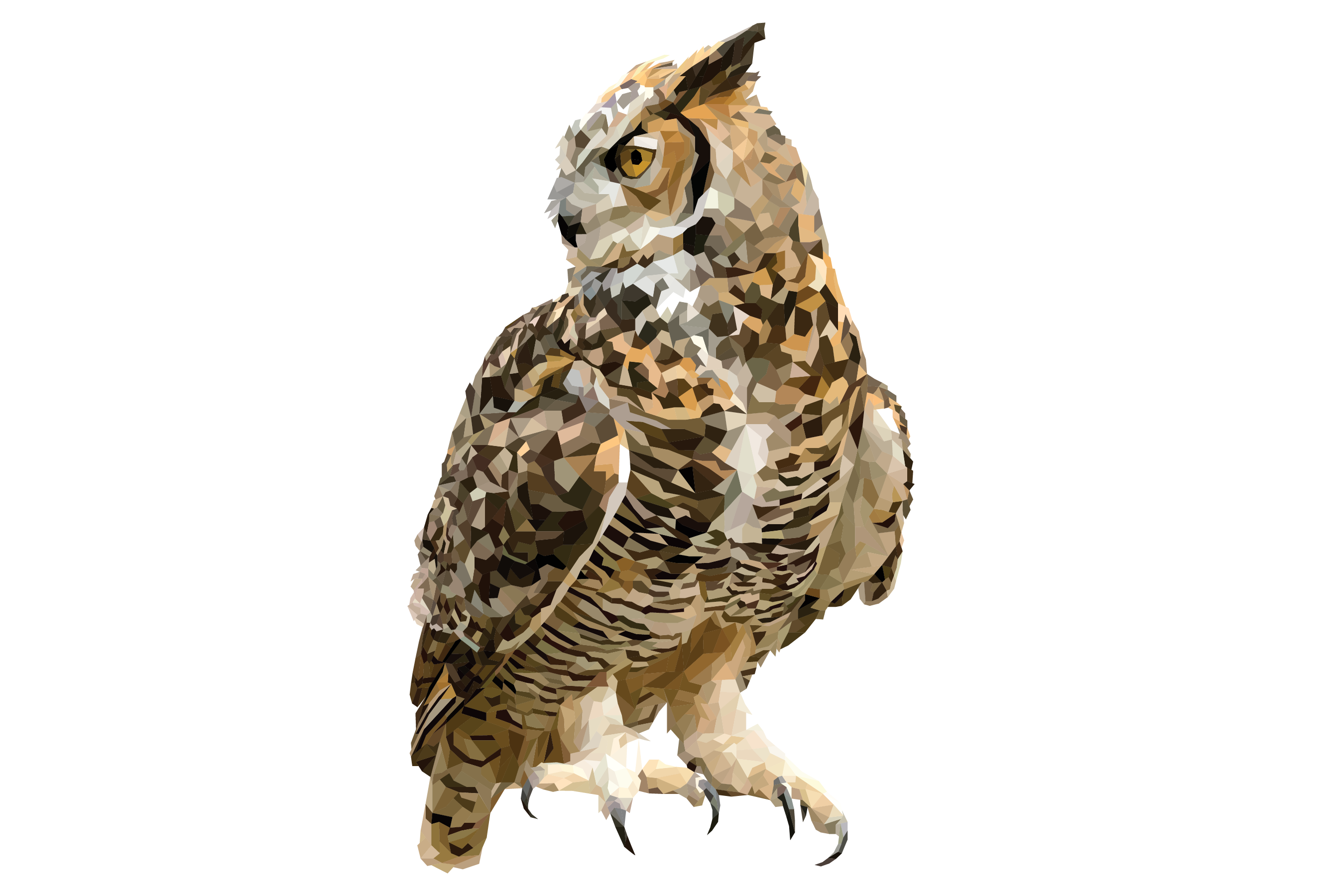 Great Horned Owl
