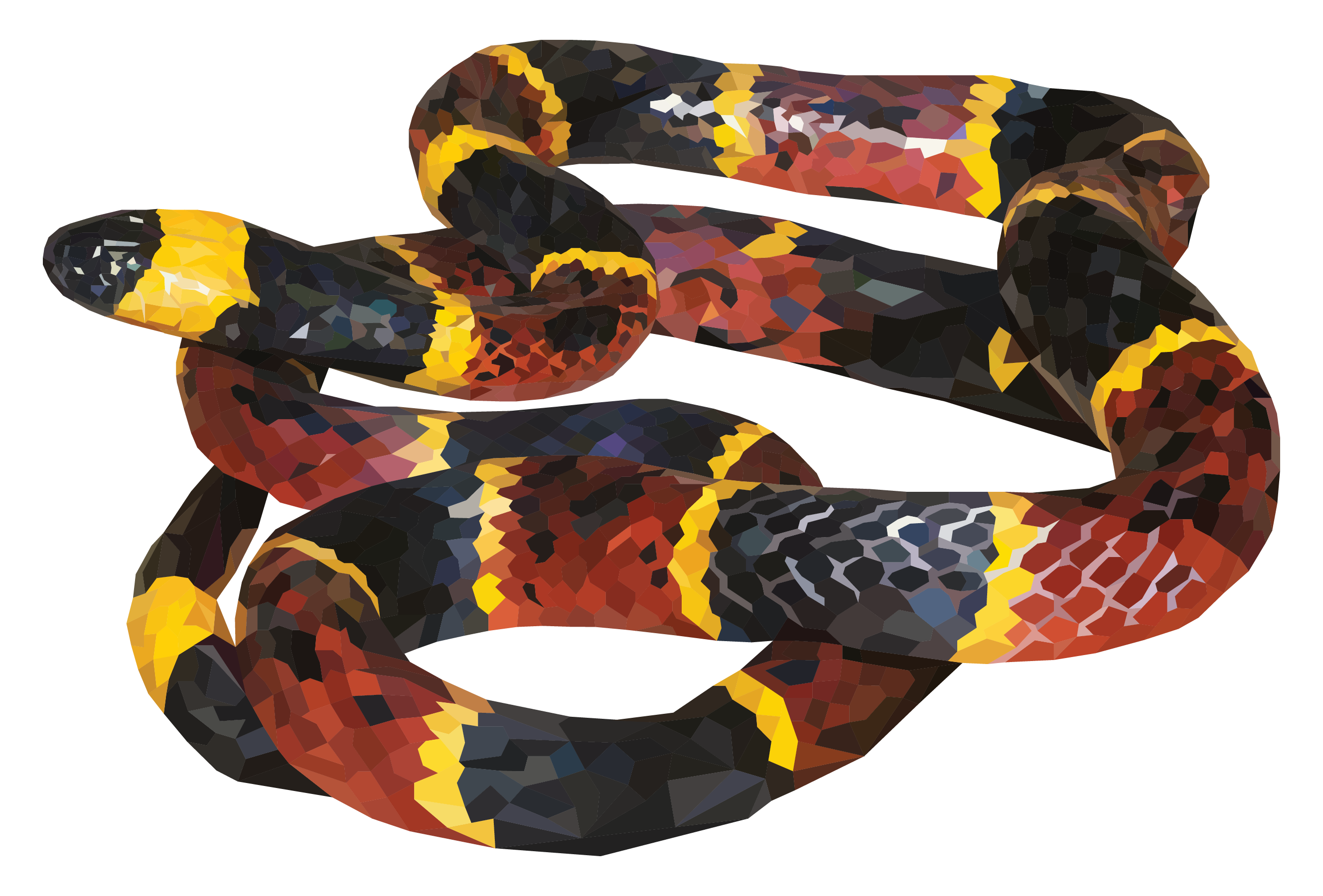 Coral Snake