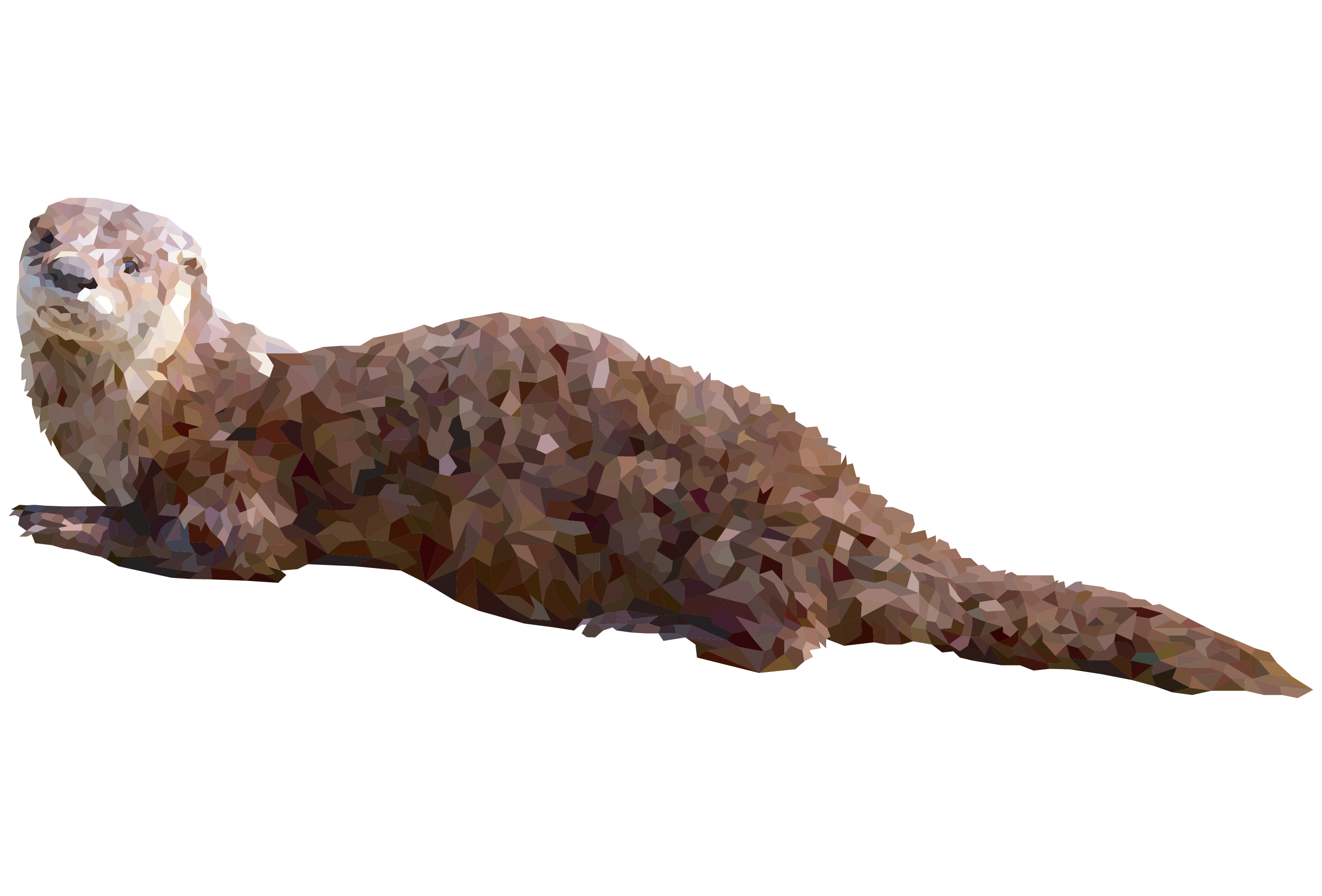 American River Otter